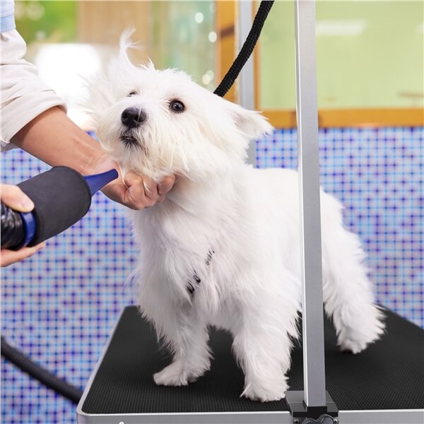Yaheetech 46'' Pet Grooming Table for Large Dogs - Image 3